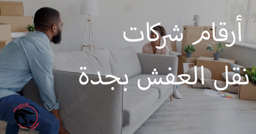 أرقام شركات نقل العفش بجدة